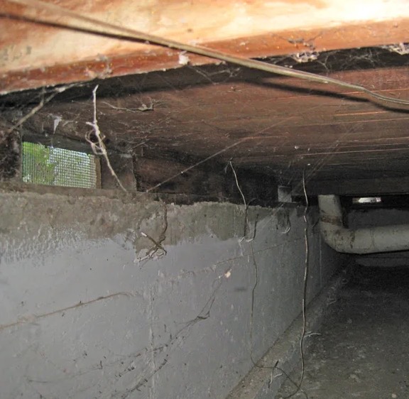 Crawl Space Water Extraction in Byron, NY