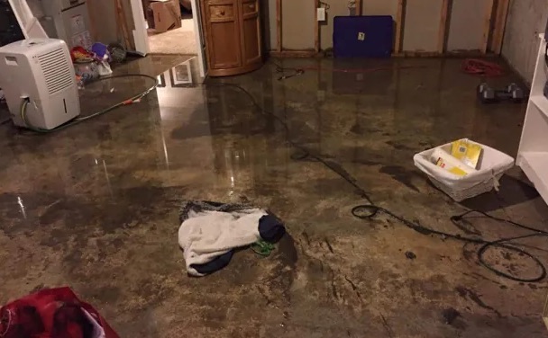 Same Day Water Removal in Sodus, NY