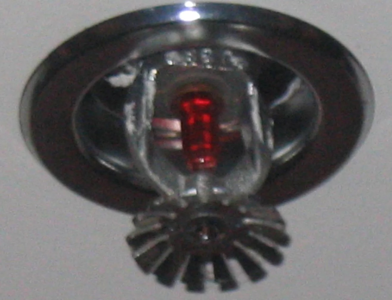 Sprinkler System Water Removal in Sodus, NY