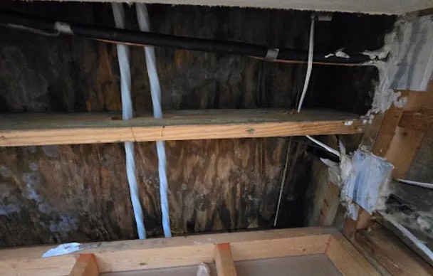 Attic Water Extraction in Sodus, NY