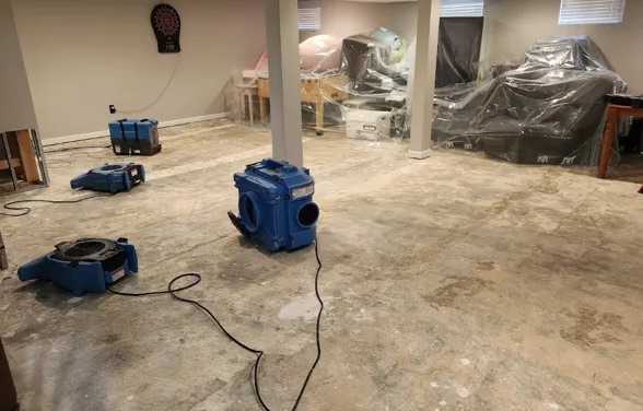 Dehumidification Services in Ovid, NY
