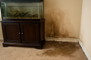 Aquarium Leak Water Removal
