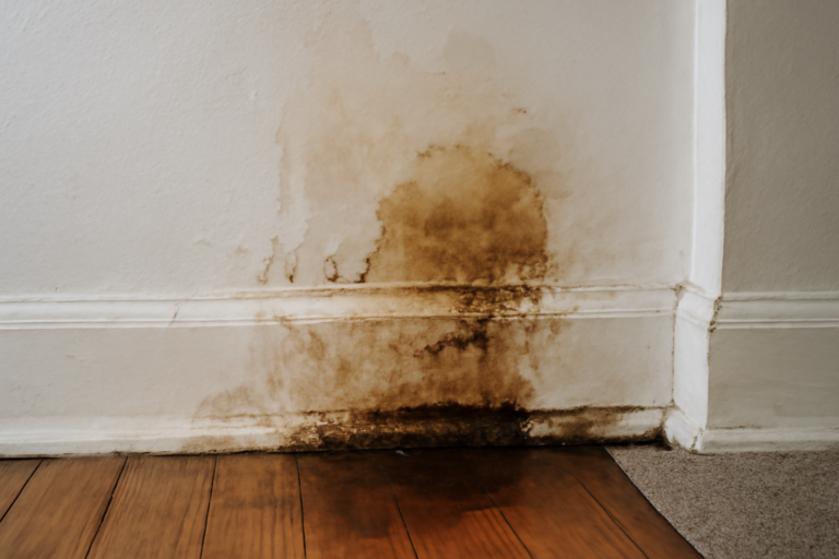 Pinhole Leak Water Removal